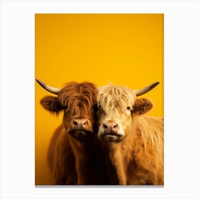 Portrat Of Two Highland Cows Canvas Print
