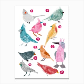 Counting Birds Canvas Print