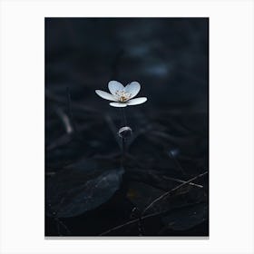 White Flower In Water 1 Canvas Print