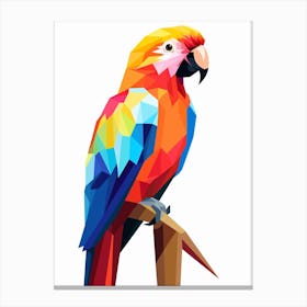 Colourful Geometric Bird Parrot 2 Canvas Print