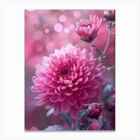 Pink Chrysanthemums Canvas Print