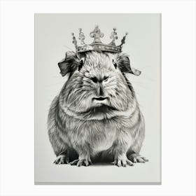 Guinea Pig 1 Canvas Print