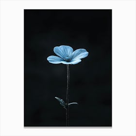 Single Blue Flower Canvas Print