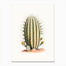 Melocactus Cactus Marker Art 2 Canvas Print