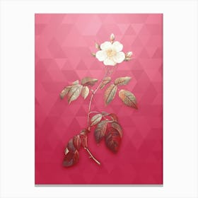 Vintage Big Leaf Climbing Rose Botanical in Gold on Viva Magenta n.0575 Canvas Print