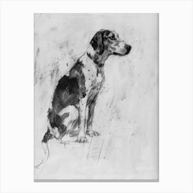 American Foxhound Dog Charcoal Line 2 Canvas Print