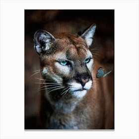 Wild Puma And Blue Butterfly Canvas Print