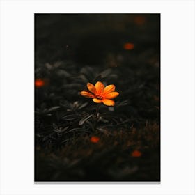 Orange Flower In The Dark Canvas Print