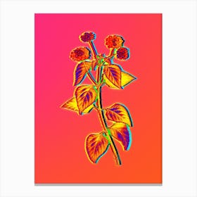 Neon Tickberry on Branches Botanical in Hot Pink and Electric Blue n.0201 Canvas Print