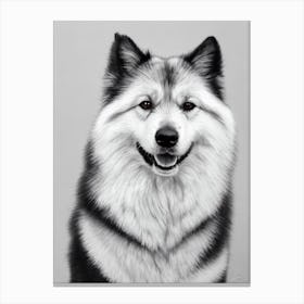 Keeshond B&W Pencil dog Canvas Print