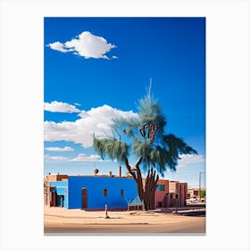 Mesquite 1  Photography Canvas Print