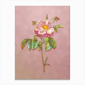 Vintage Speckled Provins Rose Botanical Art on Crystal Rose n.1840 Canvas Print