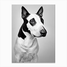 Bull Terrier B&W Pencil dog Canvas Print