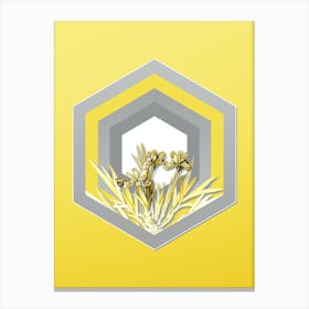 Botanical Dwarf Crested Iris in Gray and Yellow Gradient n.360 Canvas Print