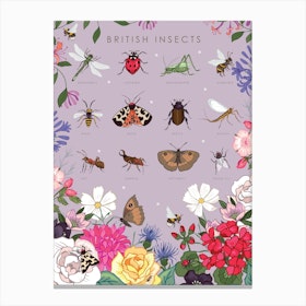 British Insects Canvas Print