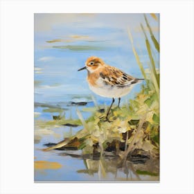 Bird Painting Dunlin 3 Canvas Print