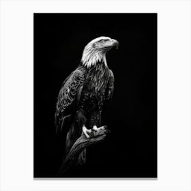 Bald Eagle Canvas Print