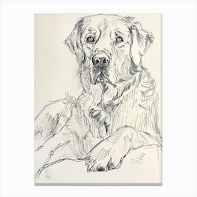 Golden Retriever Dog Line 2 Canvas Print