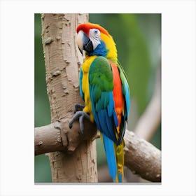 Colorful Parrot 2 Canvas Print