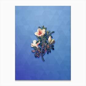 Vintage Variegated Chinese Azalea Botanical Art on Blue Perennial n.0828 Canvas Print