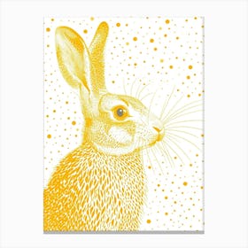 Yellow Arctic Hare 3 Canvas Print