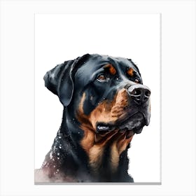 Rottweiler Dog Canvas Print