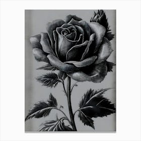 Dark Gothic Black Rose Canvas Print