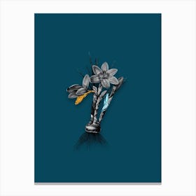 Vintage Crocus Luteus Black and White Gold Leaf Floral Art on Teal Blue n.0080 Canvas Print