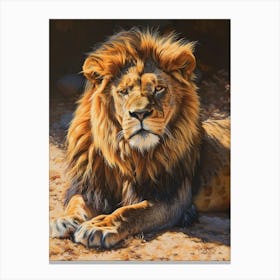 Barbary Lion Resting Acrylic Painting 1 Canvas Print
