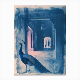 Blue Peacock In A Palace Cyanotype Inspired Canvas Print