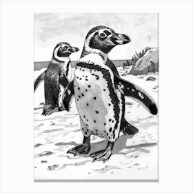 African Penguin Exploring 4 Canvas Print