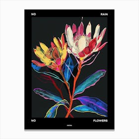 No Rain No Flowers Poster Protea 2 Canvas Print