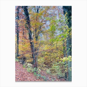 Autumn In The Forest 12 Canvas Print