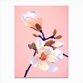 Cherry Bloom Canvas Print