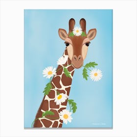 Giraffe With Daisies Canvas Print