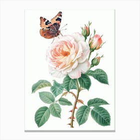 English Roses Painting Rose With Butterfly 2 Canvas Print