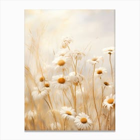 Boho Dried Flowers Oxeye Daisy 4 Canvas Print