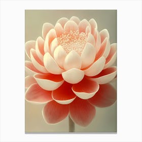 Lotus Flower 7 Canvas Print