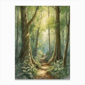 Path In The Woods 5 Canvas Print