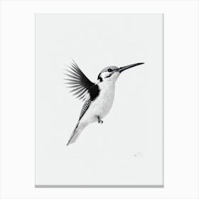 Woodpecker B&W Pencil Drawing 2 Bird Canvas Print