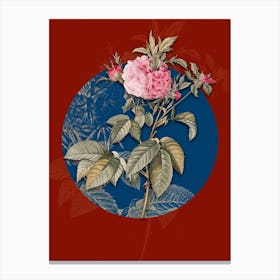 Vintage Botanical Pink Agatha Rose on Circle Blue on Red n.0103 Canvas Print