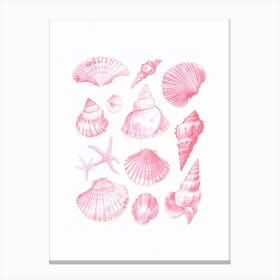 Pink Sea Shells Coastal Beach House Canvas Print