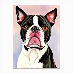 Boston Terrier 2 Watercolour dog Canvas Print