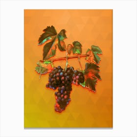 Vintage Lacrima Grapes Botanical Art on Tangelo n.1282 Canvas Print