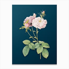 Vintage Damask Rose Botanical Art on Teal Blue n.0548 Canvas Print