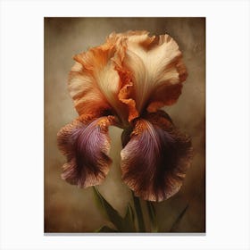 2024 May Poster Canvas Sng Iris 8 Canvas Print