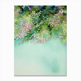 Acropora Granulosa Iiiistorybook Watercolour Canvas Print