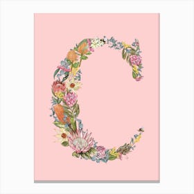 C Pink Alphabet Letter Canvas Print