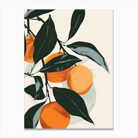 Clementines Close Up Illustration 2 Canvas Print