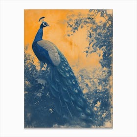 Orange & Blue Peacock In The Bushes Canvas Print